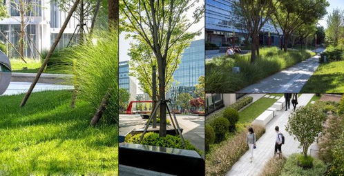 创新与融合 建科园林景观在工业园区的生态实践